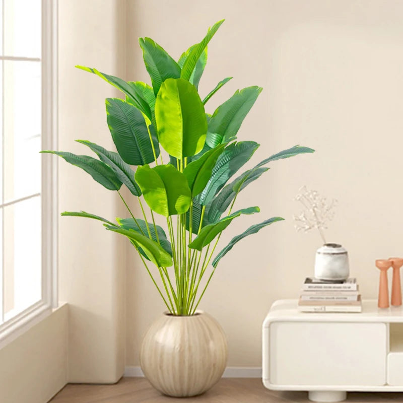 Large Tropical Banana Plants