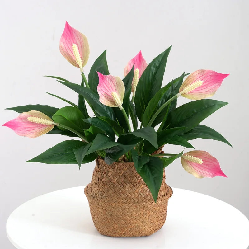 Tropical  Anthurium Tree