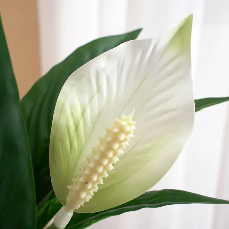 Tropical  Anthurium Tree